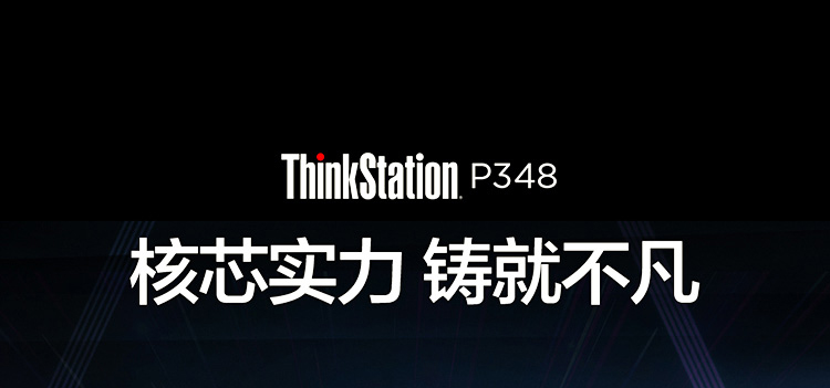 联想ThinkStation P348工作站