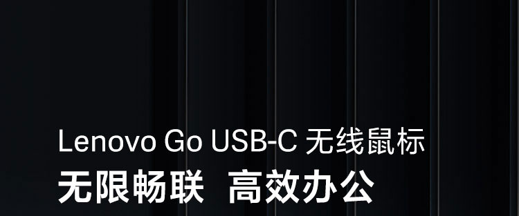 Lenovo Go USB-C 无线鼠标 (4Y51C21216)